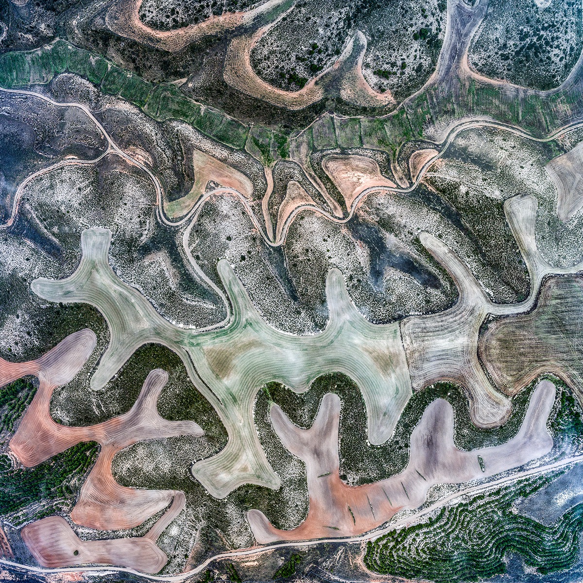 Peñalba Brumoso - Cultivated landscapes reveal layers of soil of different colors, deposited thousands of years ago by rivers in the Ebro catchment area, and reveal the amorphous features of the terrain, photographed in foggy conditions.
Visible width: 803 m